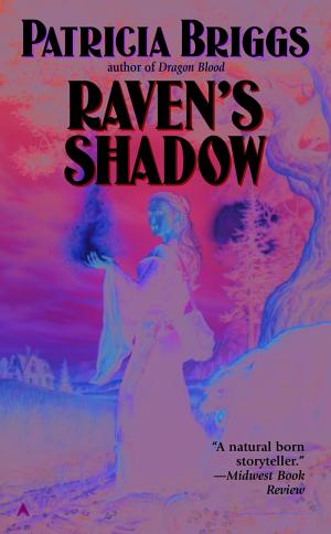 Raven's Shadow